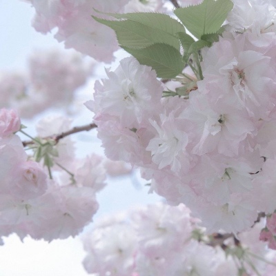 佛山FurryQQ群介绍